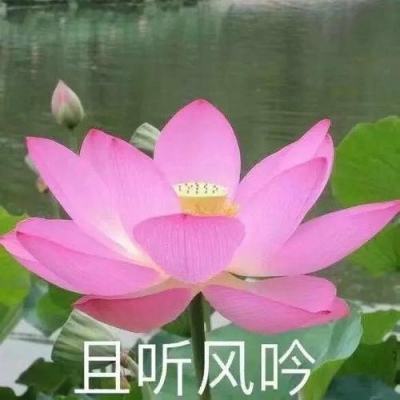 上海市人大常委会原主任董云虎受贿案一审开庭